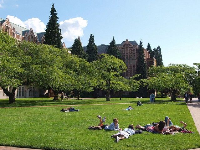 华盛顿大学草坪