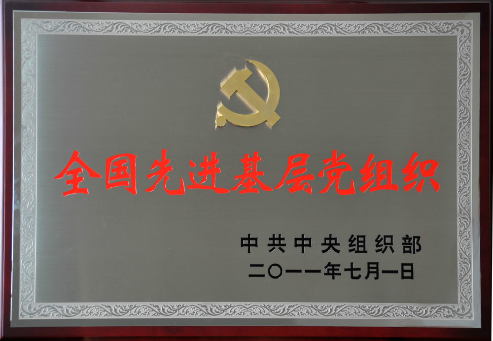 全国先进基层党组织 全国先进基层党组织