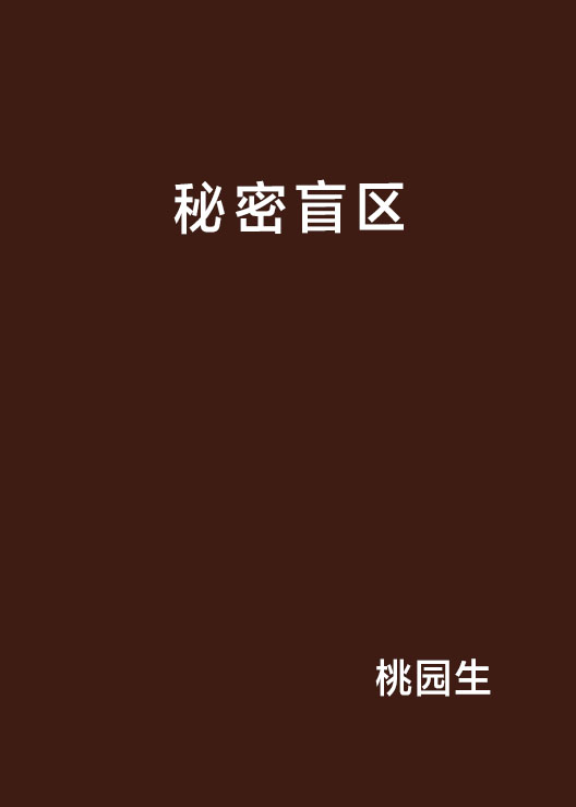 秘密盲区 秘密盲区