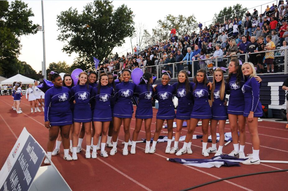 St. Francis DeSales High School St. Francis DeSales High School