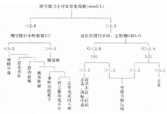 空腹型低血糖症的诊断程式