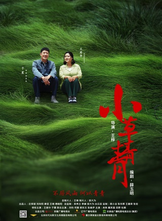 于震(中国内地男演员)