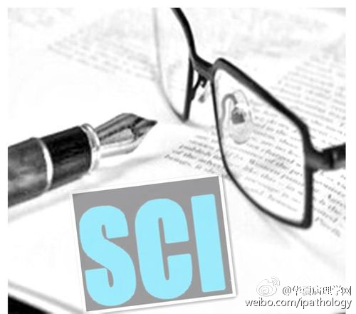 SCI论文