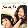 yes or no yes or no