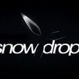 Snowdrop(游戏引擎：雪花莲)