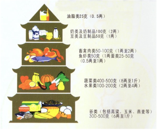 人体所需饮食结构