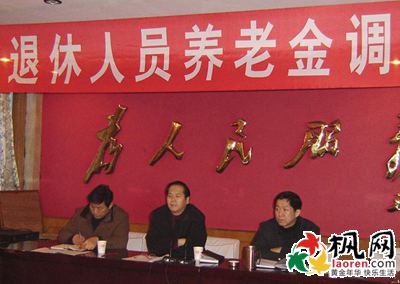 企业退休养老金 企业退休养老金