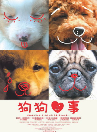 伊东美咲