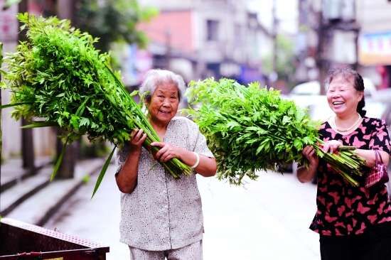 端午节(中国四大传统节日之一)