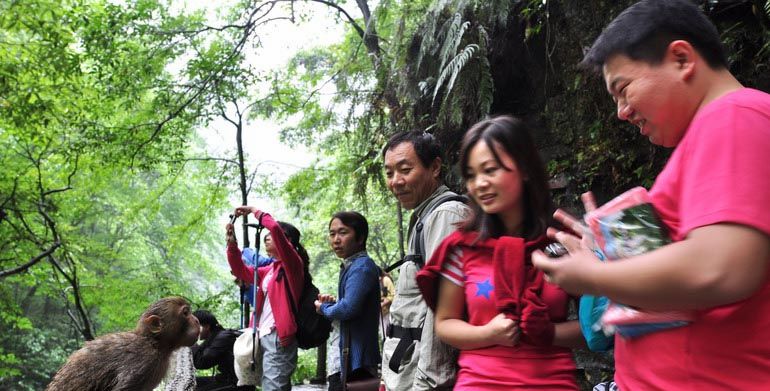五一张家界旅游攻略网