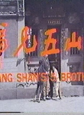 秦汉(台湾影视演员)
