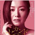 第二处女(日本2010年黑崎博、柳川强执导电视剧)