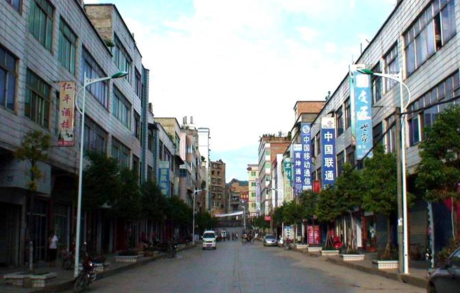 图1:竹园镇街道一景 图1:竹园镇街道一景