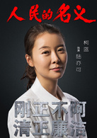 人民的名义(2017年李路执导电视剧)
