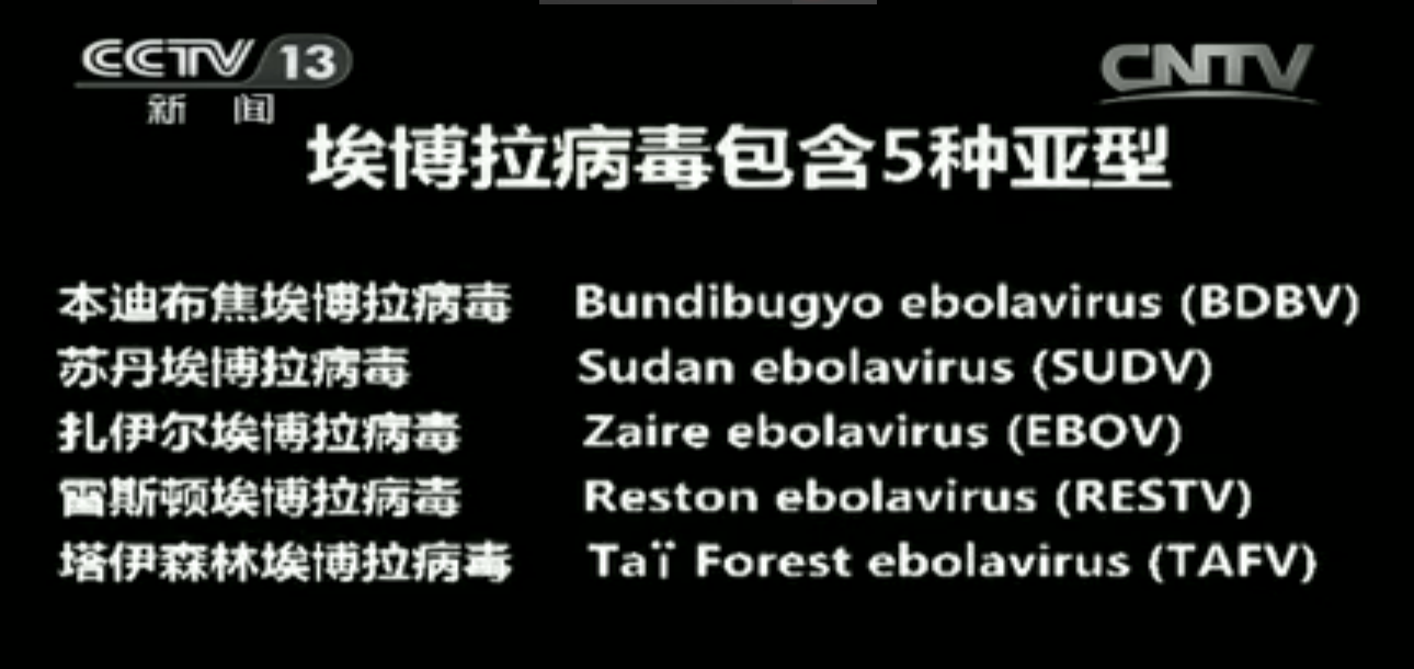 央视纪录片截图