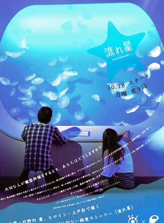 竹野内丰