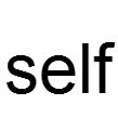 self(英文单词) self(英文单词)