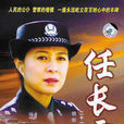 任长霞(2005年沈好放导演电视剧)