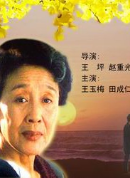 何冰(北京籍演员)