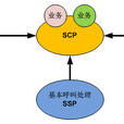 scp(“业务控制点”的英文简称)