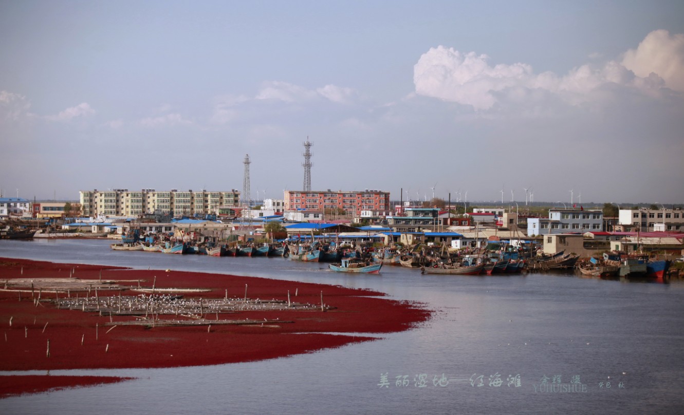 红海滩国家风景廊道 红海滩国家风景廊道