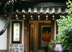 传统茶园外观