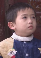 二叔(2013年习辛导演电视连续剧)