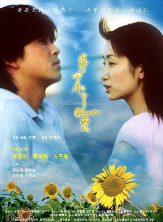 秦海璐