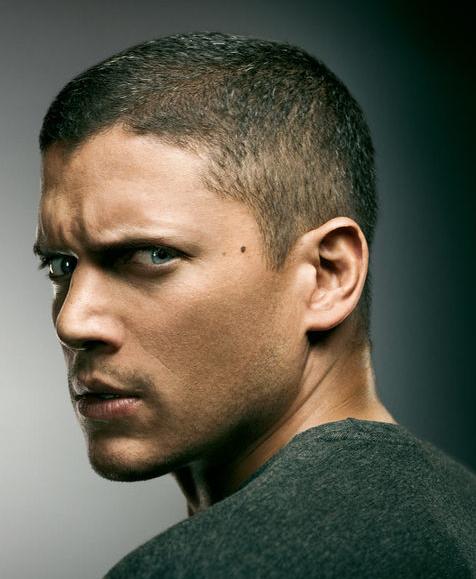 Scofield Scofield