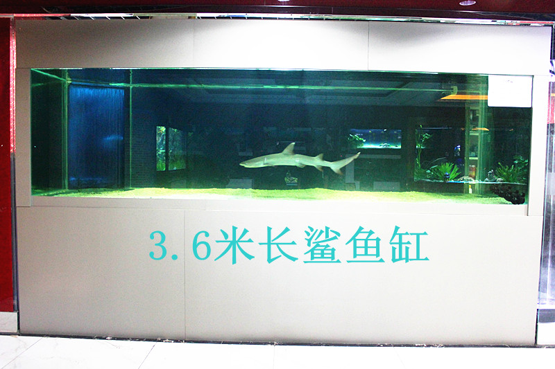 亮点水族馆 亮点水族馆