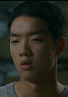九降风(2008年林书宇执导电影)
