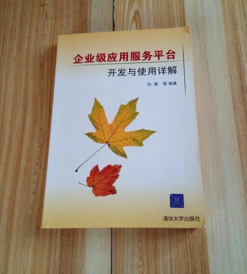 企业级套用服务平台开发与使用详解 企业级套用服务平台开发与使用详解