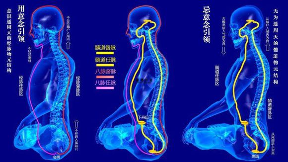 任督二脉 任督二脉