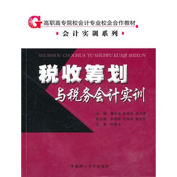 税收筹划与税务会计实训 税收筹划与税务会计实训