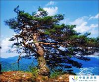 仙景台自然风景区 仙景台自然风景区