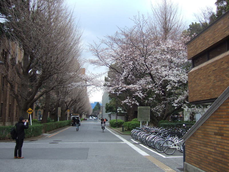 京都大学风景 京都大学风景