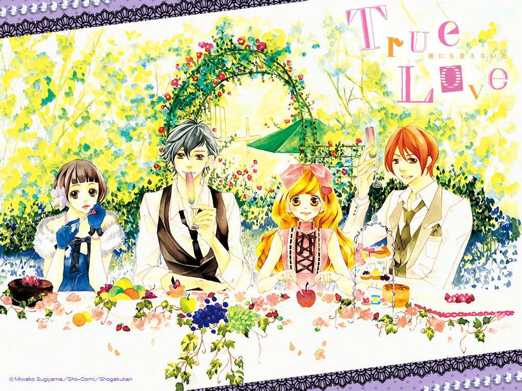 True Love(杉山美和子作画的漫画) True Love(杉山美和子作画的漫画)
