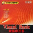 Visual Basic资料库开发经典案例解析