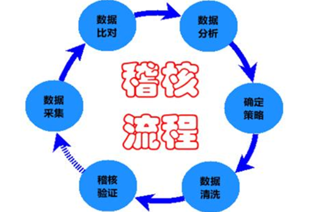 稽核 稽核