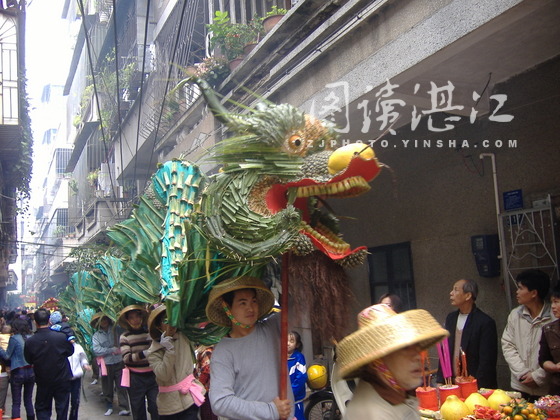 文章湾300年历史的簕古龙呈现在元宵节 文章湾300年历史的簕古龙呈现在元宵节