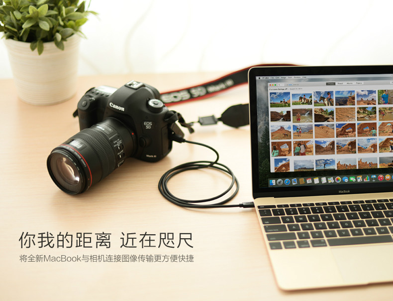 usb type c数据线连线佳能相机