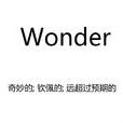 wonder(wonder) wonder(wonder)
