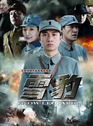 何政军