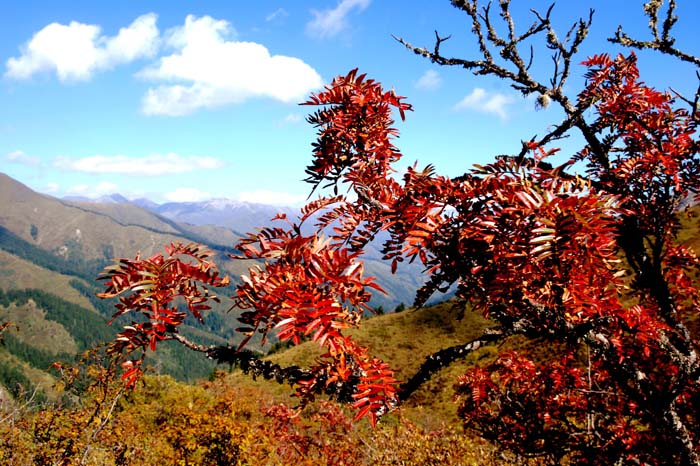 神仙池景区-红叶 神仙池景区-红叶