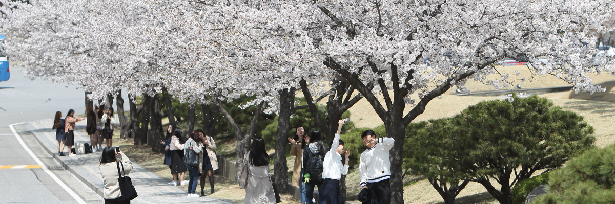 京畿大学