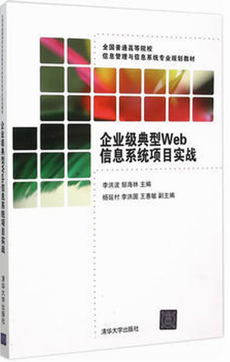 企业级典型Web信息系统项目实战
