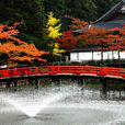 京都岚山 京都岚山