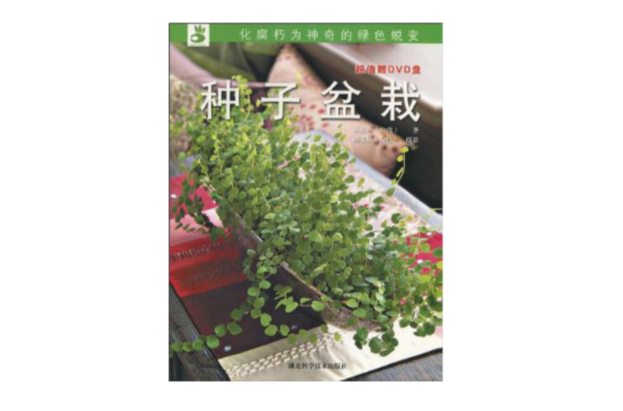 种子盆栽 种子盆栽
