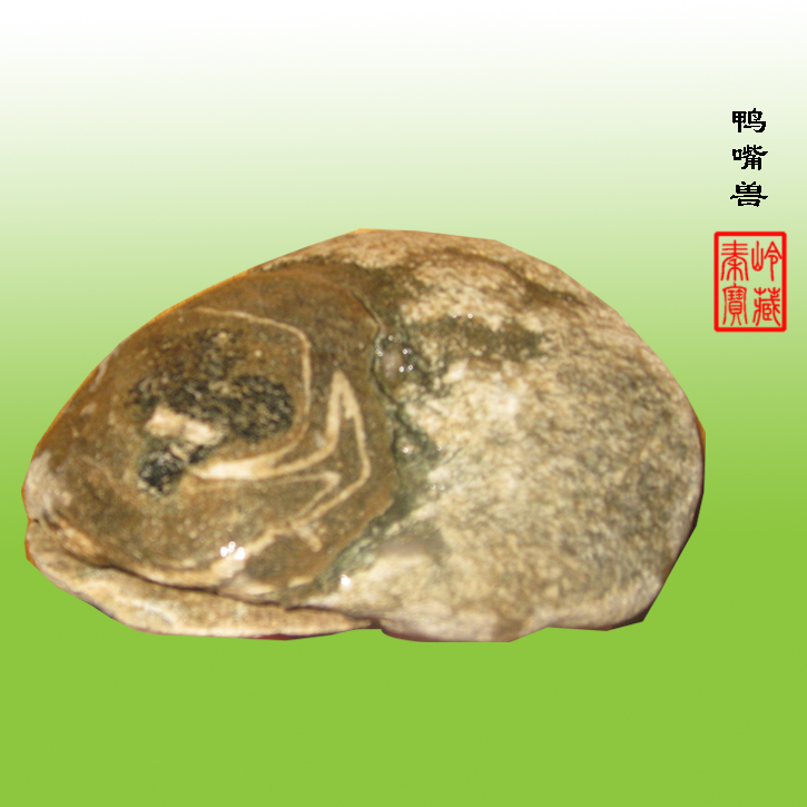 象形石 “鸭嘴石”
