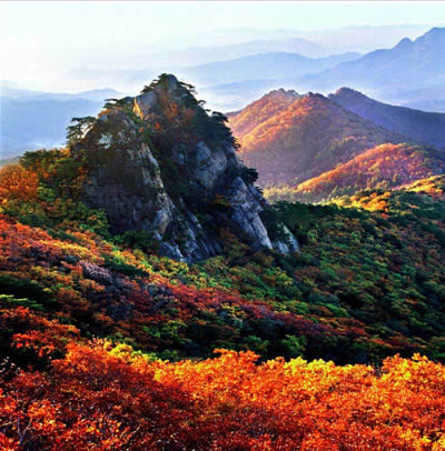 立山区